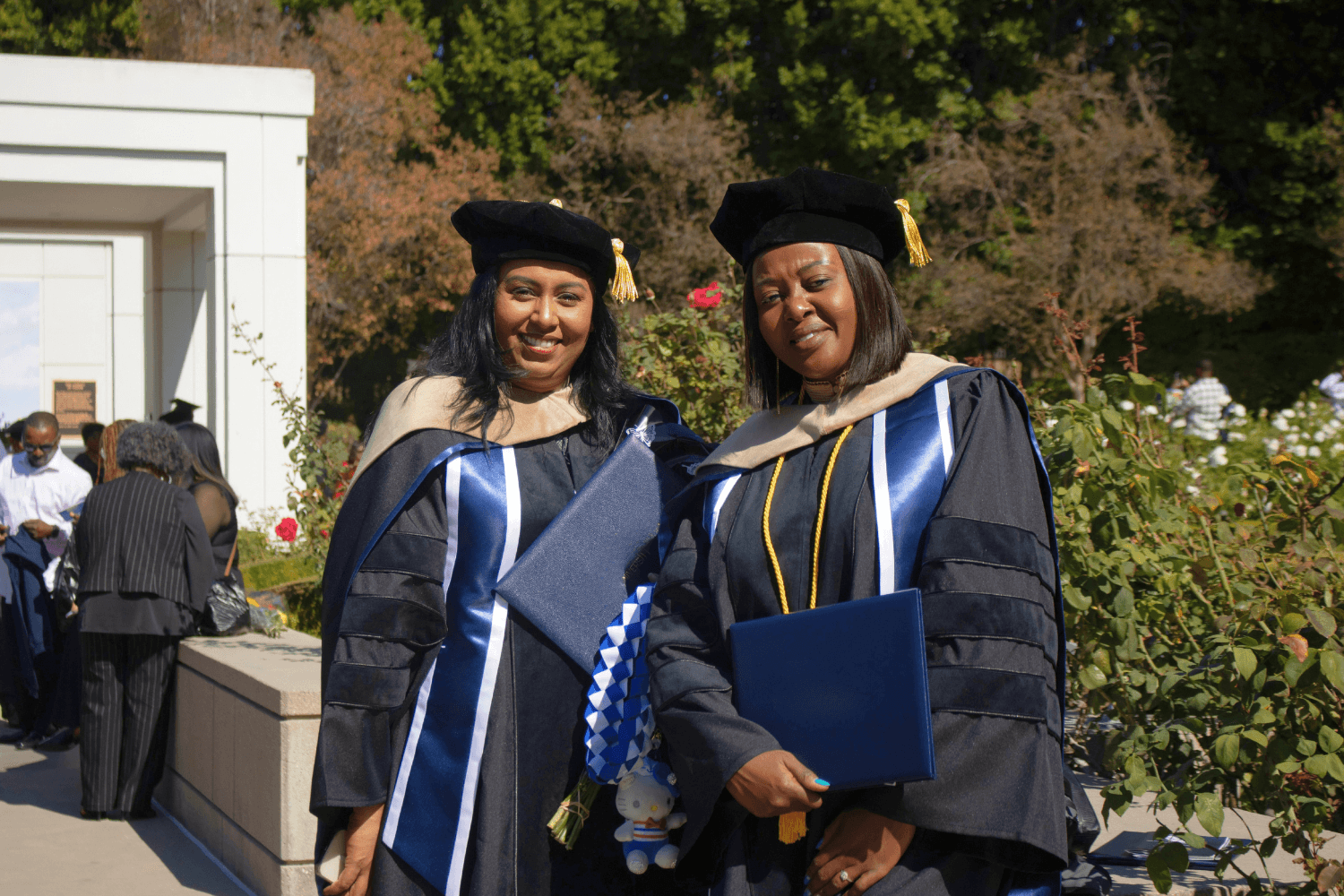 dba-vs-phd-degree