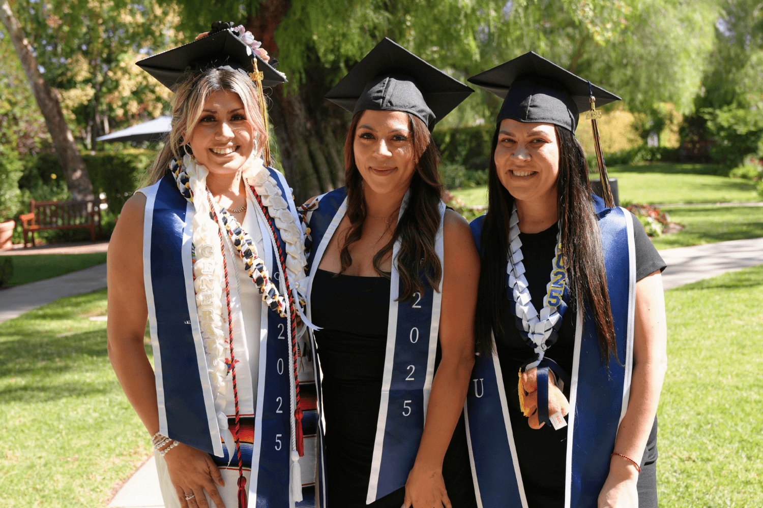 doctorate-degree-online-with-no-dissertation