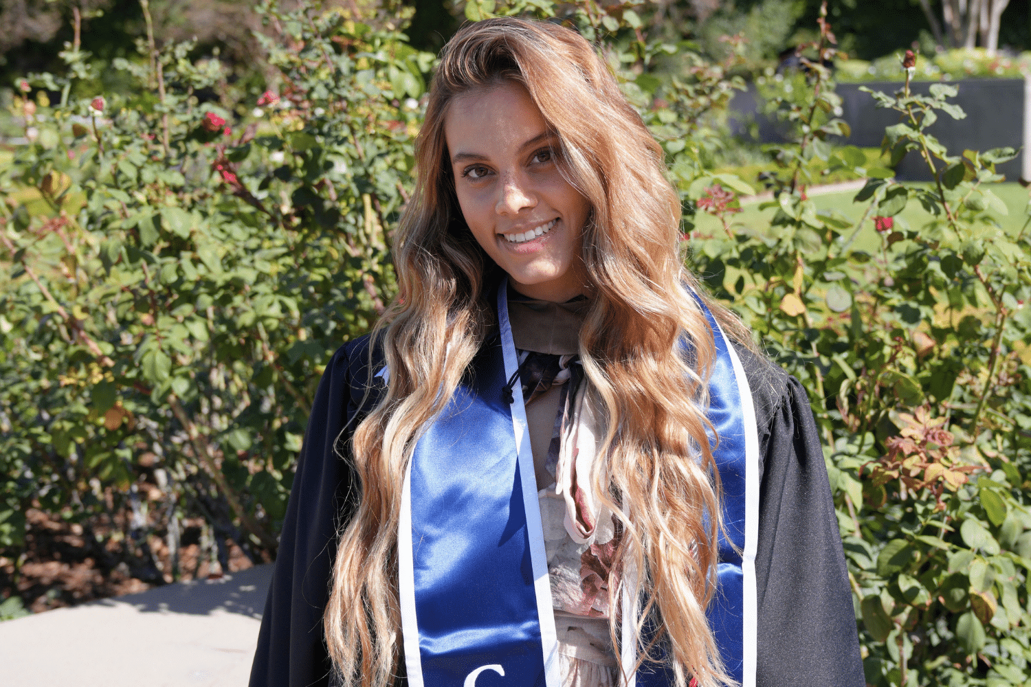 doctorate-in-information-systems